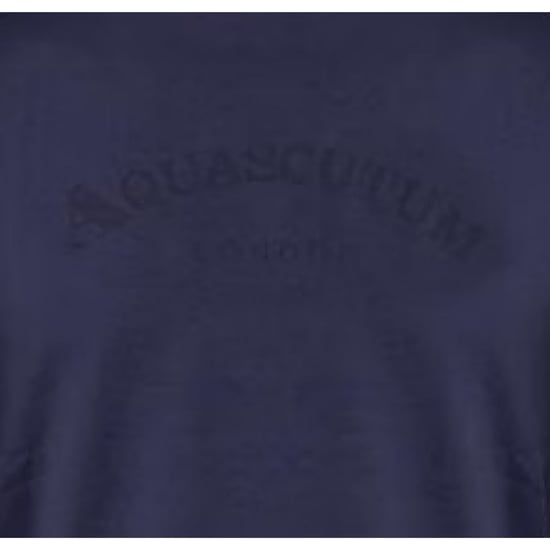 Aquascutum - T-Shirt für Herren, Rundhalsausschnitt, Regulär (Marine) - Image 3