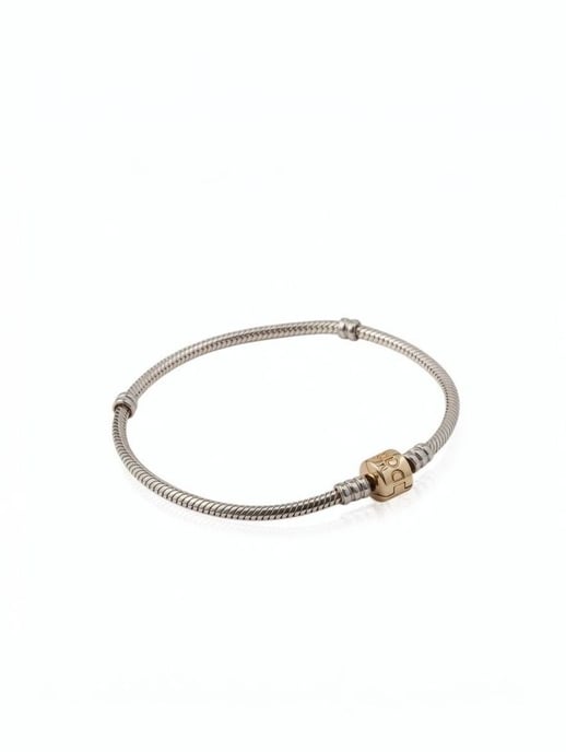 Pandora Armband Silber - Image 1