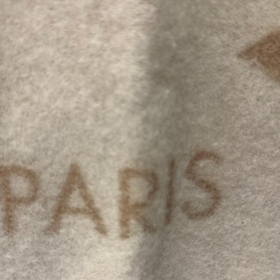 Louis Vuitton Reykjavik Fransen-Schal aus beigem Kaschmir - Image 4