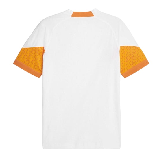 Puma - "23/24" Trikot für Herren, Training (Weiß) - Image 2