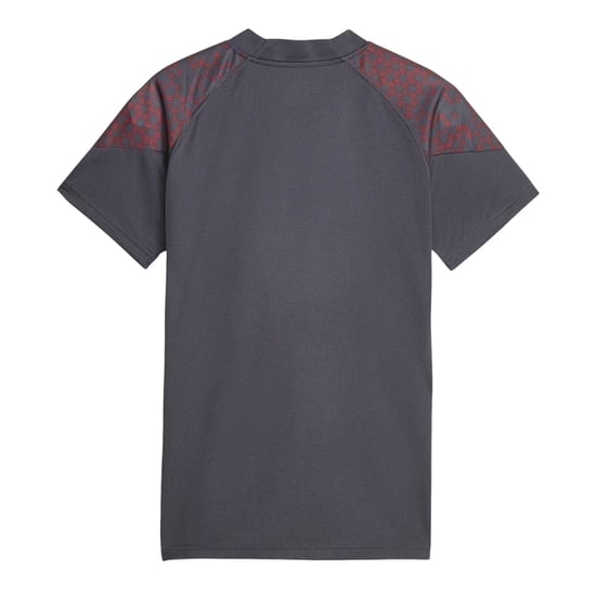 Puma - Trikot für Herren/Damen Unisex, Training (Grau) - Image 2