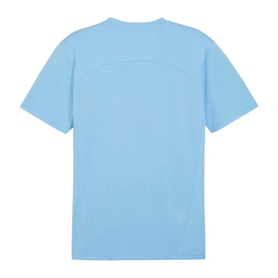 Puma - "TeamFinal" Trikot für Herren, Training (Blau) - Image 2