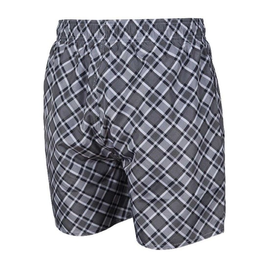 Arena - "Fundamental" Badeshorts für Herren (Asphaltgrau/Bunt) - Image 2