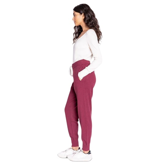 PJ Salvage - Jogginghosen für Damen (Bordeaux) - Image 3