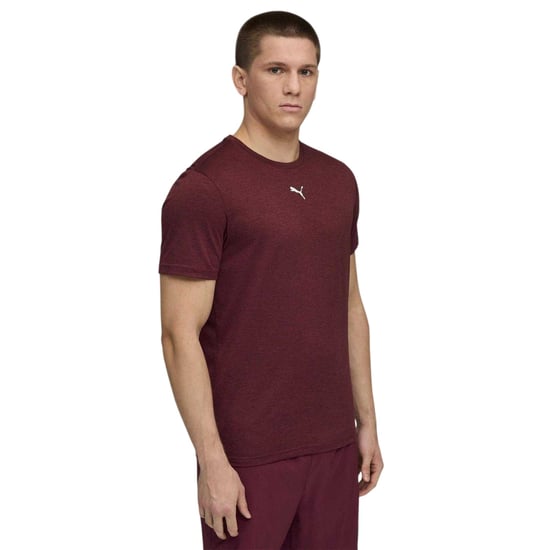 Puma - "Tad" T-Shirt für Herren, Performance, Fitnessstudio (Burgunderrot) - Image 1