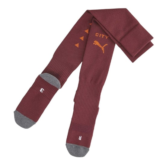 Puma - Fußballsocken für Herren, Stripes (Aubergine) - Image 1