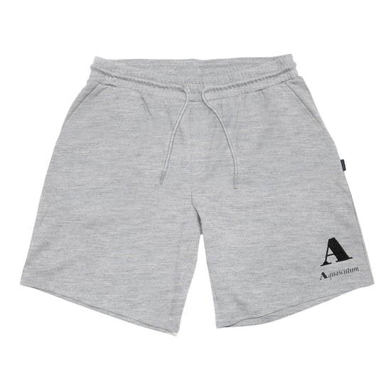 Aquascutum - Shorts für Herren (Grau) - Image 1