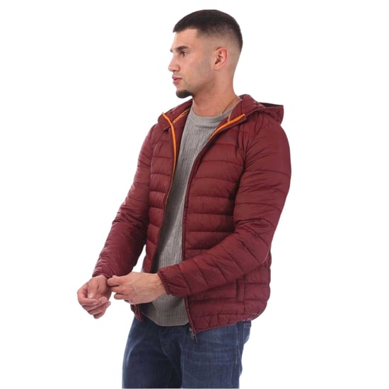 Aquascutum - Steppjacke für Herren (Bordeaux) - Image 2