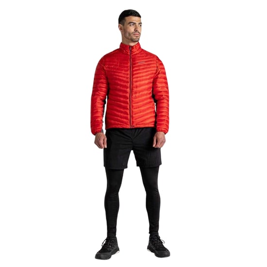Craghoppers - Thermo-Leggings für Herren (Schwarz) - Image 1