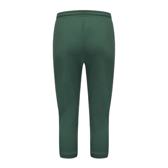 Slazenger - Jogginghosen für Damen (Tannengrün) - Image 2