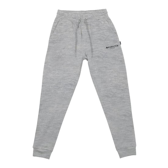 Aquascutum - Jogginghosen für Herren (Grau) - Image 1