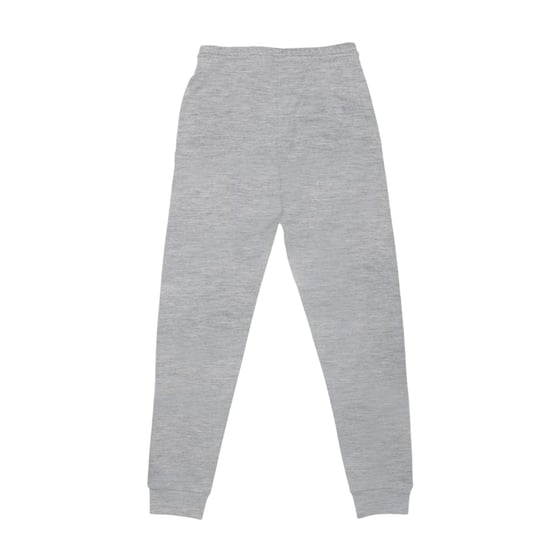 Aquascutum - Jogginghosen für Herren (Grau) - Image 2
