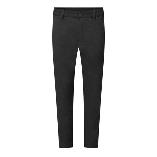 Replay - Hosen für Herren (Grau) - Image 1