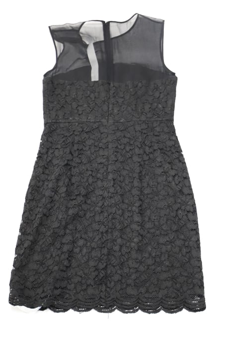DVF Nisha-Kleid aus schwarzer Spitze mit ärmelloser Illusion - Image 2
