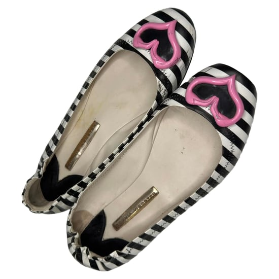 Sophia Webster Miami Gestreifte Ballerinas aus mehrfarbigem Leder - Image 6