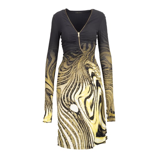 Roberto Cavalli Kleid mit Animal-Print und Reißverschluss vorne – 2000er Jahre - Image 1