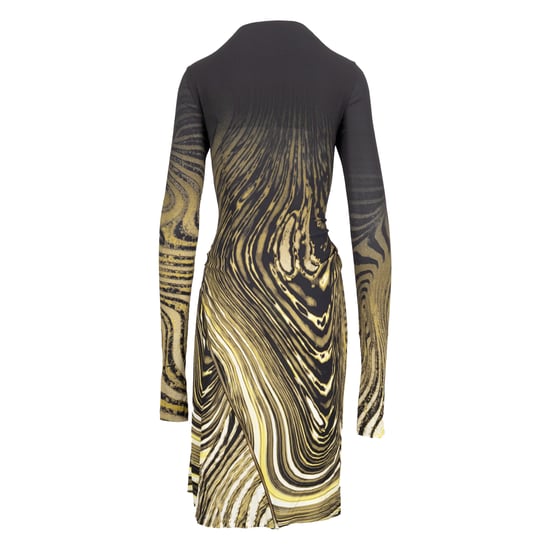 Roberto Cavalli Kleid mit Animal-Print und Reißverschluss vorne – 2000er Jahre - Image 3