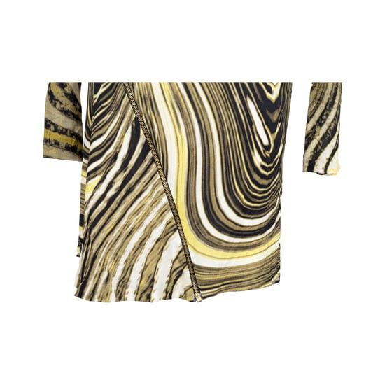 Roberto Cavalli Kleid mit Animal-Print und Reißverschluss vorne – 2000er Jahre - Image 6