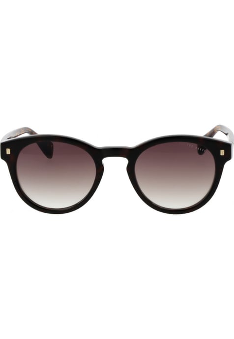 Ted Baker TB1752 Dax 119 klassische schildpattbraune Sonnenbrille mit Farbverlauf - Image 2