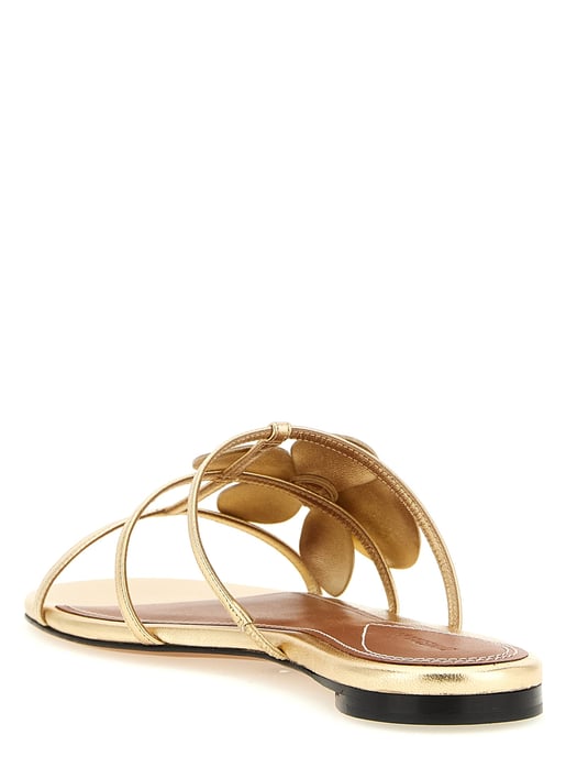 Zimmermann Goldene Leder-Sandalen - Image 4