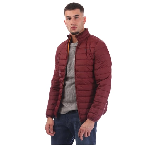 Aquascutum - Steppjacke für Herren (Bordeaux) - Image 1