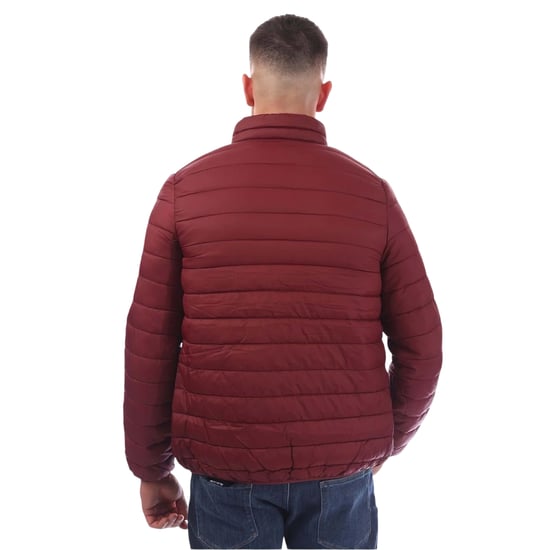 Aquascutum - Steppjacke für Herren (Bordeaux) - Image 2