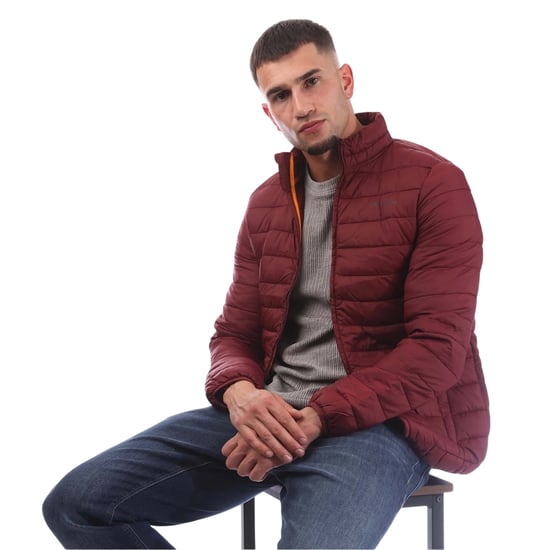 Aquascutum - Steppjacke für Herren (Bordeaux) - Image 4