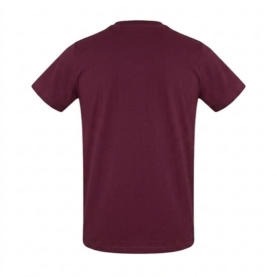 Aquascutum - "London 1851" T-Shirt für Herren, Baumwollmischung (Rot) - Image 2