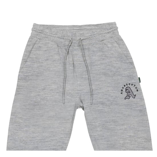 Aquascutum - Jogginghosen für Herren (Grau) - Image 3