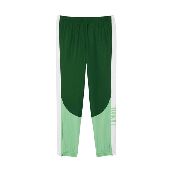 Lacoste - Jogginghosen für Herren (Grün) - Image 2