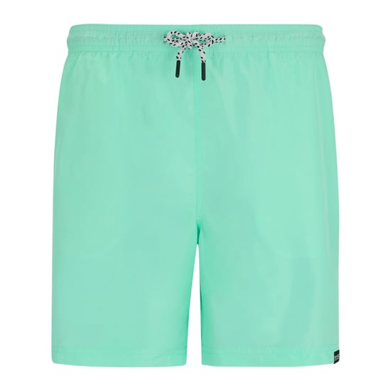 Regatta - "Mackleyna" Badeshorts für Herren (Eisgrün) - Image 1