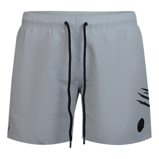 Logo Boardshorts Schwimmshorts in Silber - Image 1
