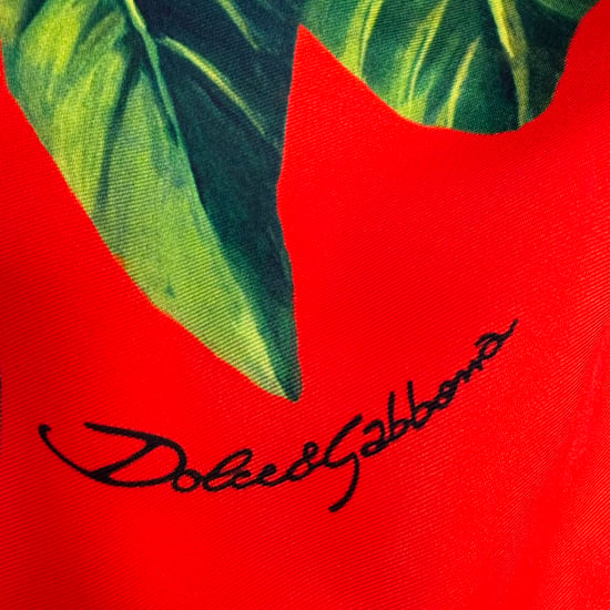 Dolce & Gabbana Muschel-Strand-Sarong-Schal aus mehrfarbiger Seide - Image 5