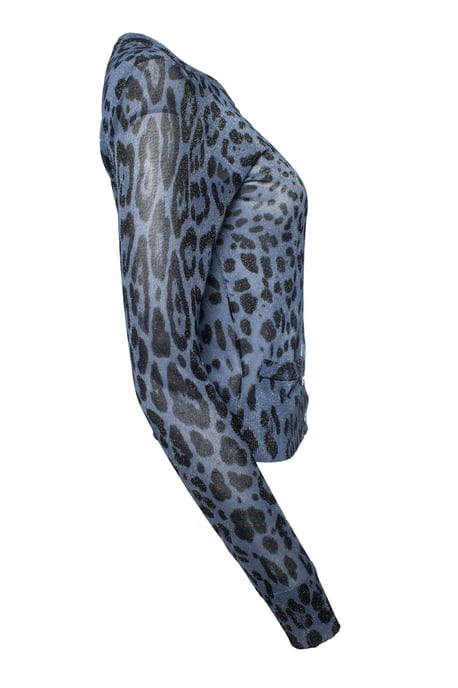 Dolce & Gabbana, Leoparden-Lurex-Cardigan in Blau - Image 4