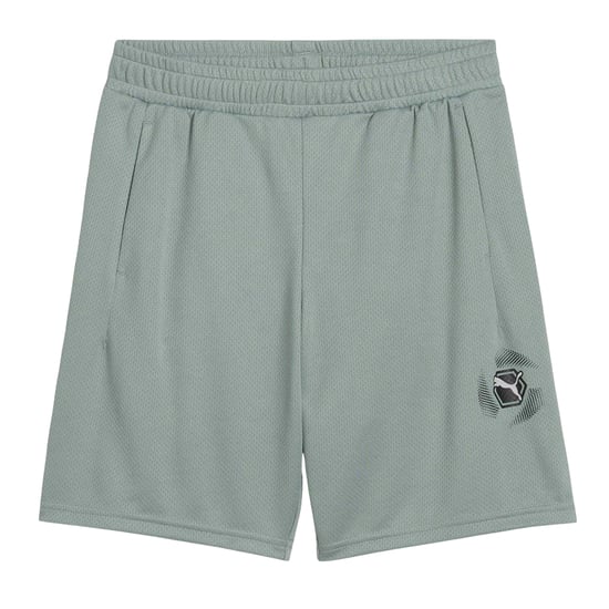 Puma - "Active" Shorts für Kinder (Grün) - Image 1