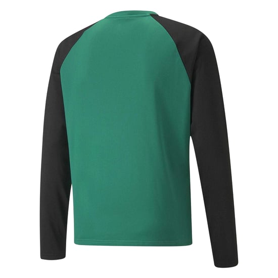 Puma - "TeamLIGA" T-Shirt für Herren, Langärmlig (Grün/Schwarz) - Image 2