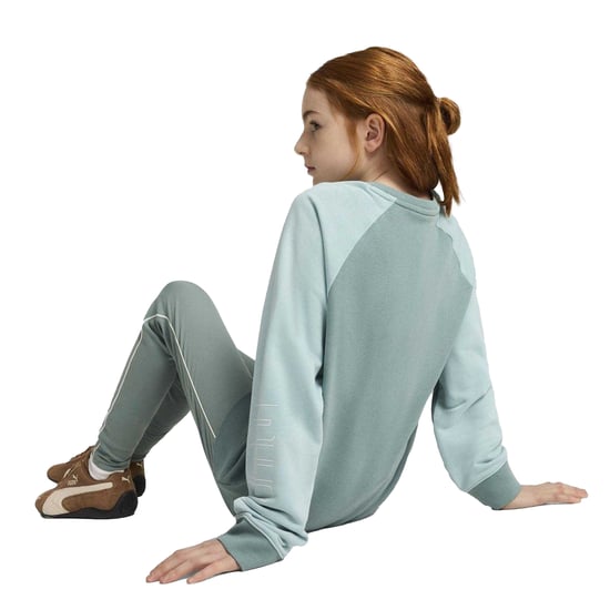 Puma - "Sportstyle" Sweatshirt für Kinder, leger, Raglan langärmelig (Grün/Mond) - Image 4