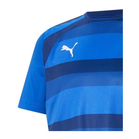 Puma - "TeamVision" Fußball Trikot für Herren (Blau/Weiß) - Image 3