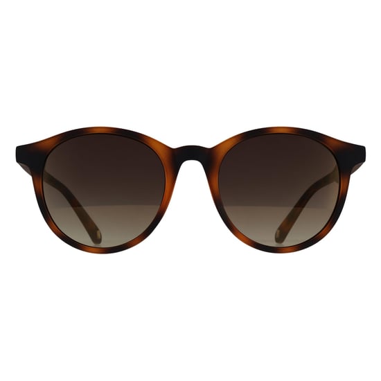 Ted Baker TB1503 Odell 173 Sonnenbrille in Schildpattbraun mit Farbverlauf - Image 1