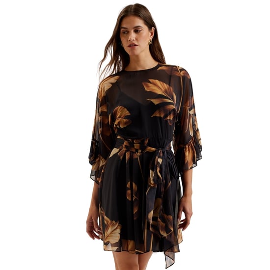 Ted Baker Elster Minikleid Mit Rüschenärmeln, Transparent, Schwarz - Image 2