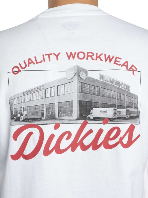 Dickies Wellsville Rückengrafik-T-Shirt, Weiß - Image 5