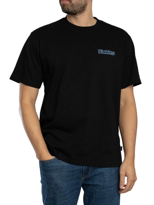 Dickies Fairland Rückengrafik-T-Shirt, Schwarz - Image 1