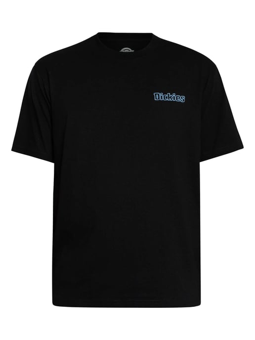 Dickies Fairland Rückengrafik-T-Shirt, Schwarz - Image 5