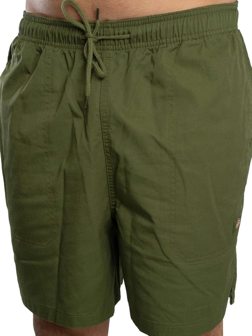 Dickies Pelican Rapids Sweatshorts, Grün - Image 5