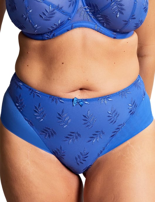 Panache Tango Deep Brief - Image 1
