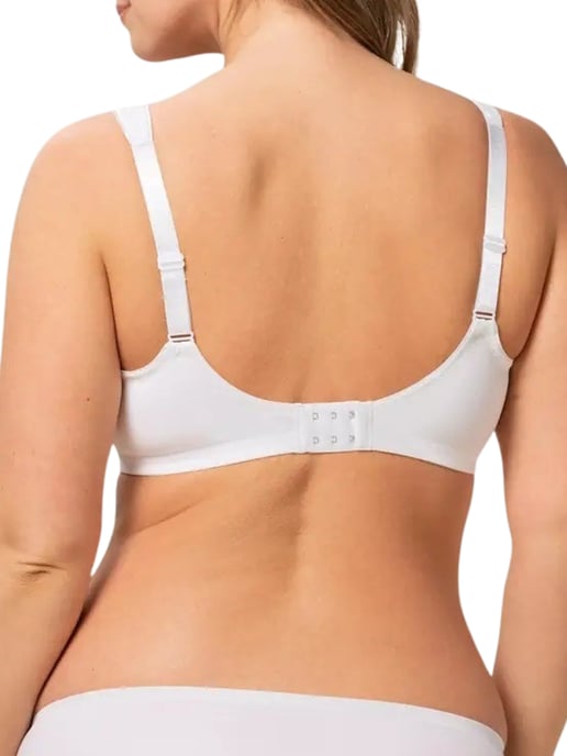 Triumph BH - Image 2