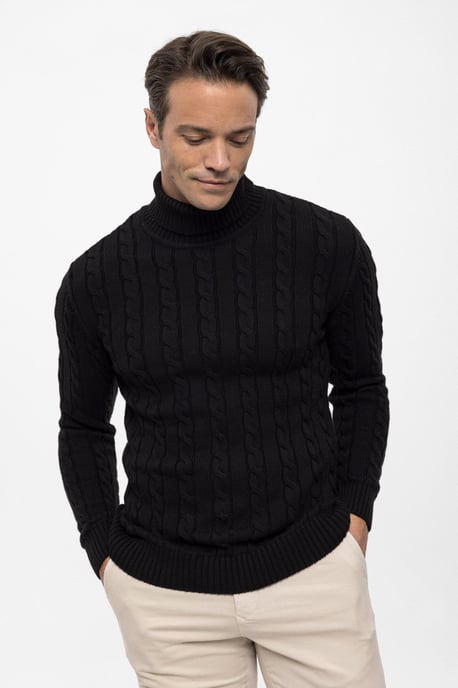 Pullover Rollkragenpullover Mit Zopfmuster - Image 1