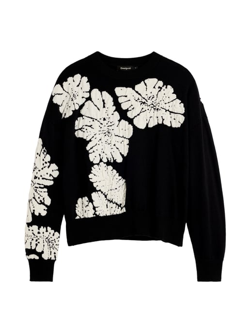 Desigual Pullover - Image 1