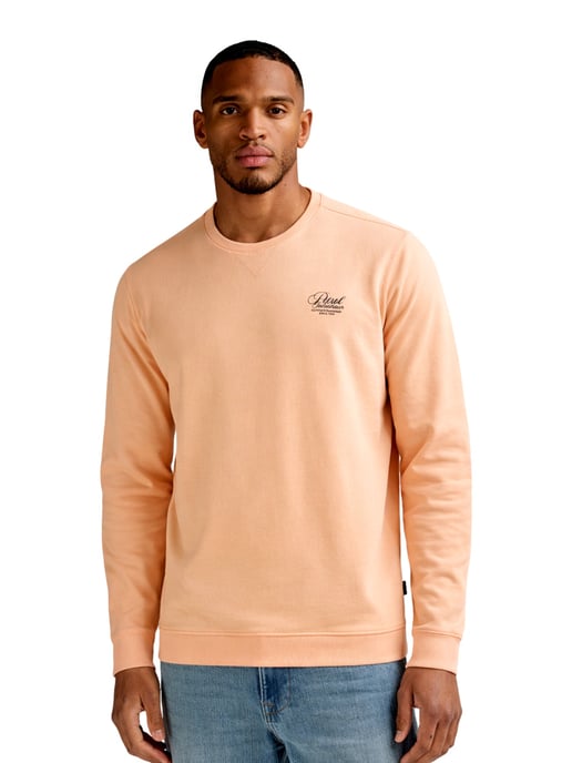 Petrol Industries Sweatshirt - Image 4