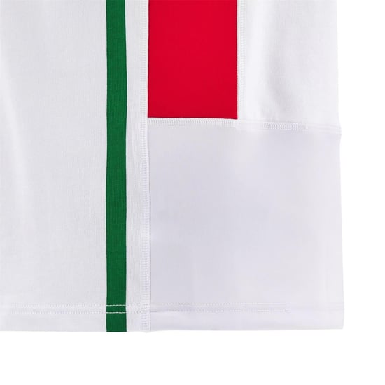 Macron - "24/25" Rugby-Shirt für Herren, Welsh Rugby Union (Weiß/Grün) - Image 4